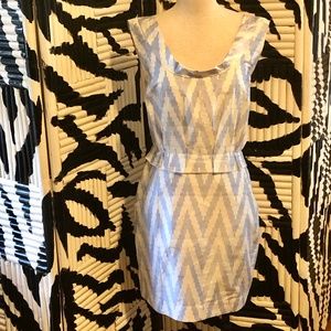 Calypso St. Barth Raw Silk Dress White Blue Large